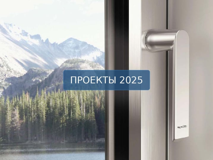 Проекты 2025